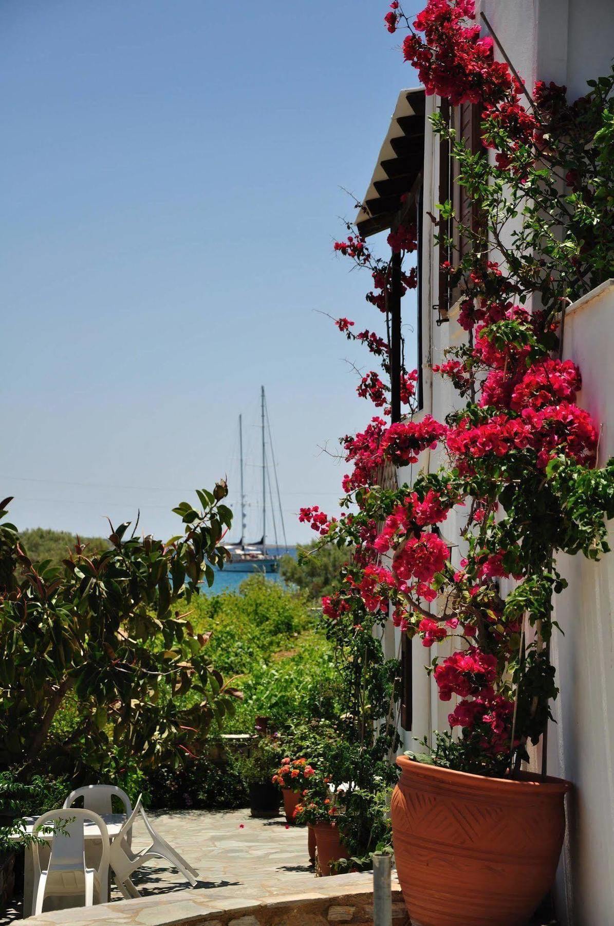 Michalis Apartments Near The Beaches With Sea View Парос Экстерьер фото